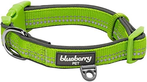 Blueberry Пет Мек и Безопасен Регулируем Нашийник за кучета С Светоотражающей подплата от неопрен с дължина 3 М - Маслинено-Зелен Пастельного