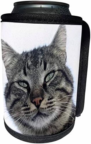 Триизмерен Портрет Чаровен Кафяв раирана котка - Опаковки за бутилки-охладител (cc-362537-1)
