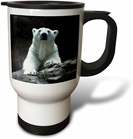 Пътна чаша 3dRose Polar Bear Resting, 14 Грама, Неръждаема стомана