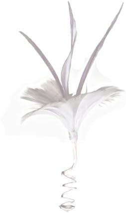 ZUCKER Feather (TM) - Цветен Комплект от пера с замени с гъска перушина - Бял